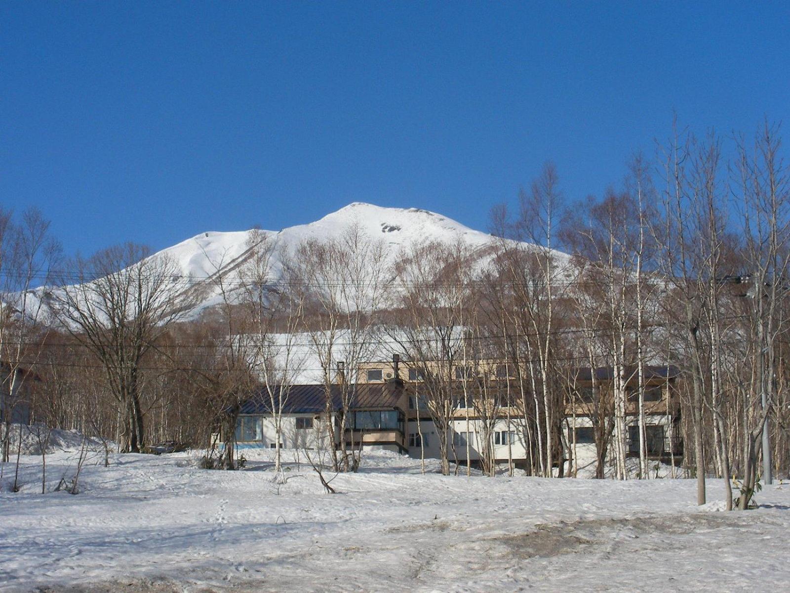 Niseko Pension Bellary Bed & Breakfast Eksteriør bilde